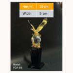 (PCR-84 to PCR-89) CRYSTAL SHIELD AWARD PRINTING UAE - Image 2